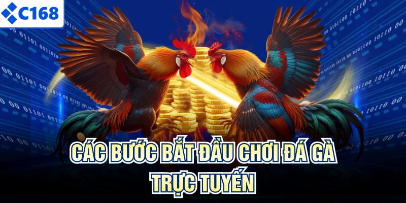 Các bước bắt đầu chơi đá gà trực tuyến